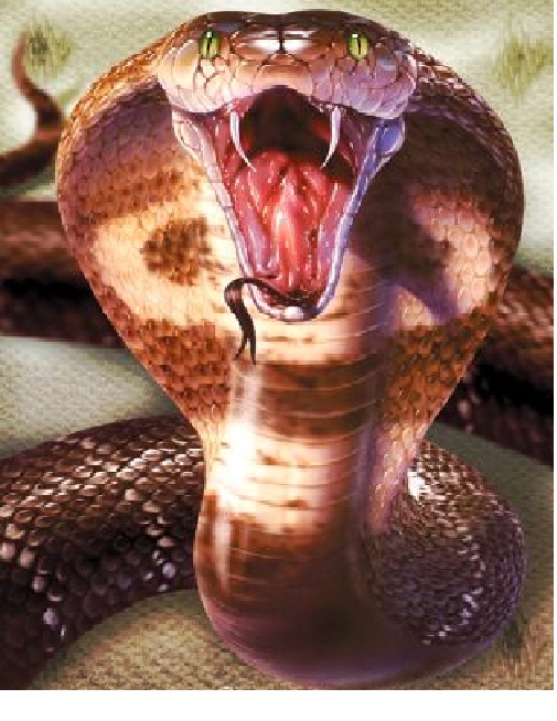 Королівська кобра онлайн пазл