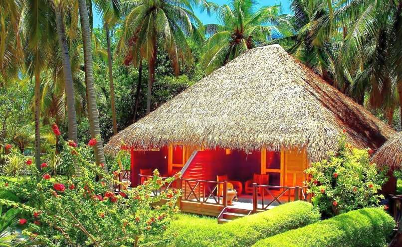hut onder palmbomen legpuzzel online