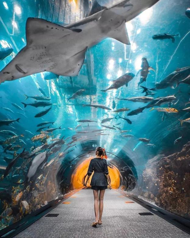 Дубайский аквариум, Объединенные Арабские Эмираты пазл онлайн