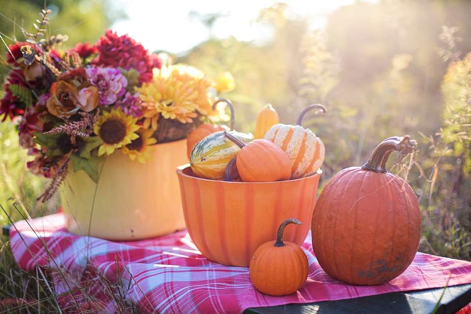Time for pumpkins jigsaw puzzle online