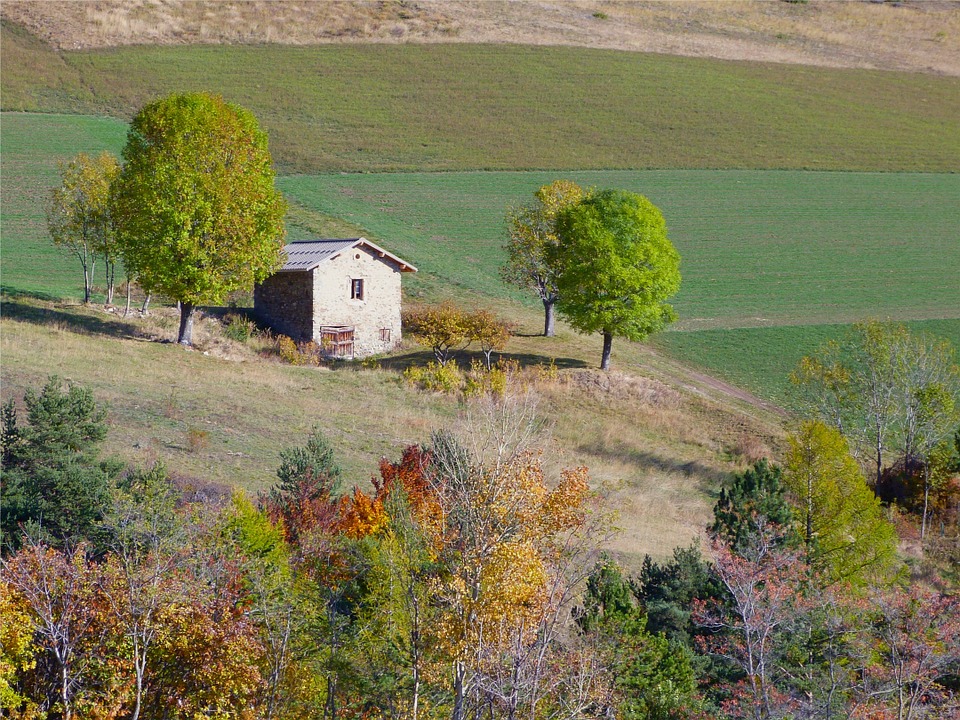 Casa de campo y otoño rompecabezas en línea