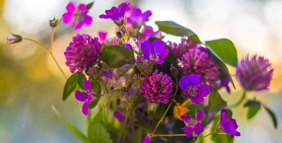 Ein Strauß wilder Blumen Puzzlespiel online