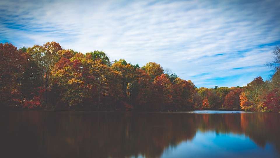 Outono à beira do lago puzzle online