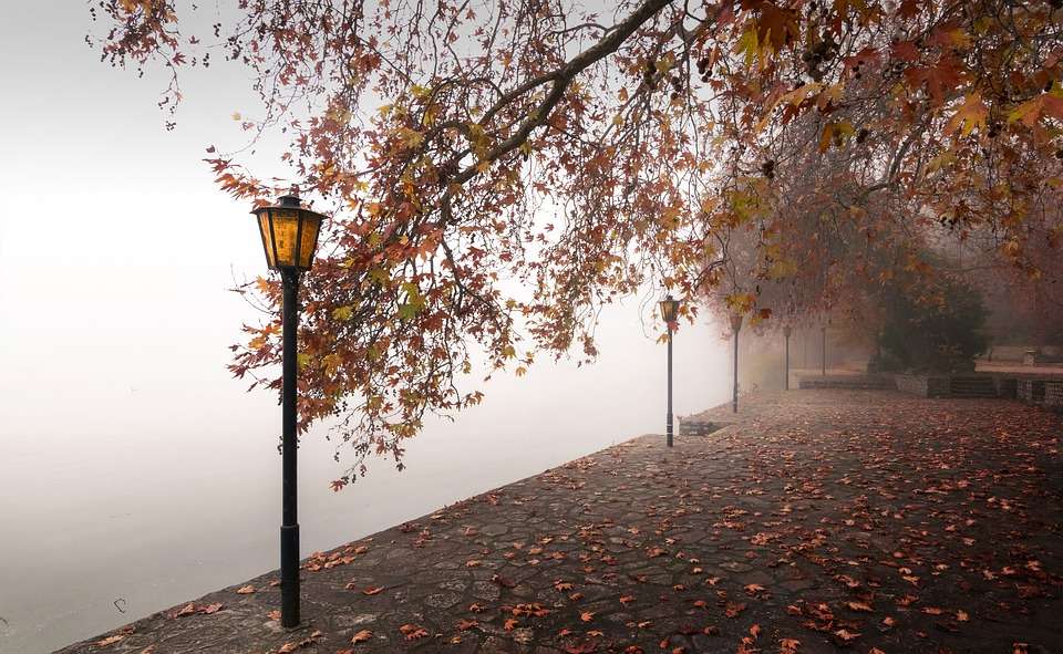 Mlhavý den v parku online puzzle
