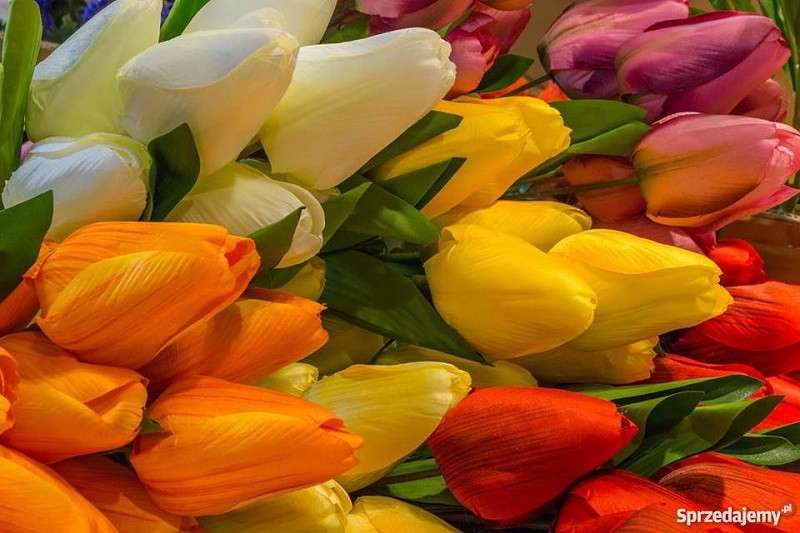 Los tulipanes rompecabezas en línea