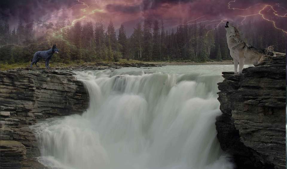 Wolf Waterfall pussel på nätet