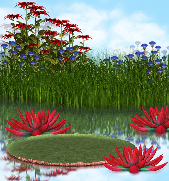 Vijver en bloemen legpuzzel online
