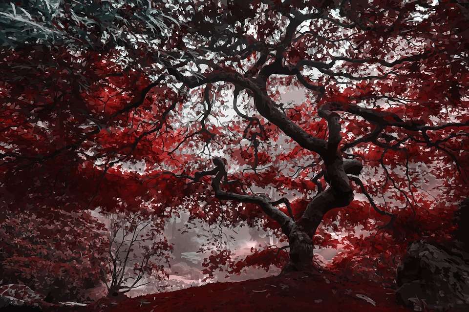 Червоне дерево онлайн пазл