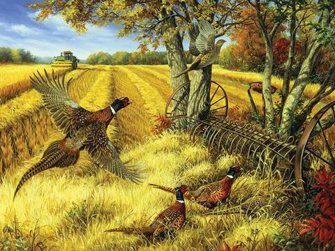 Landscape with pheasants. jigsaw puzzle online