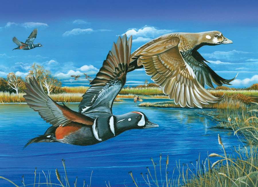 Рисувани птици край езерцето. онлайн пъзел