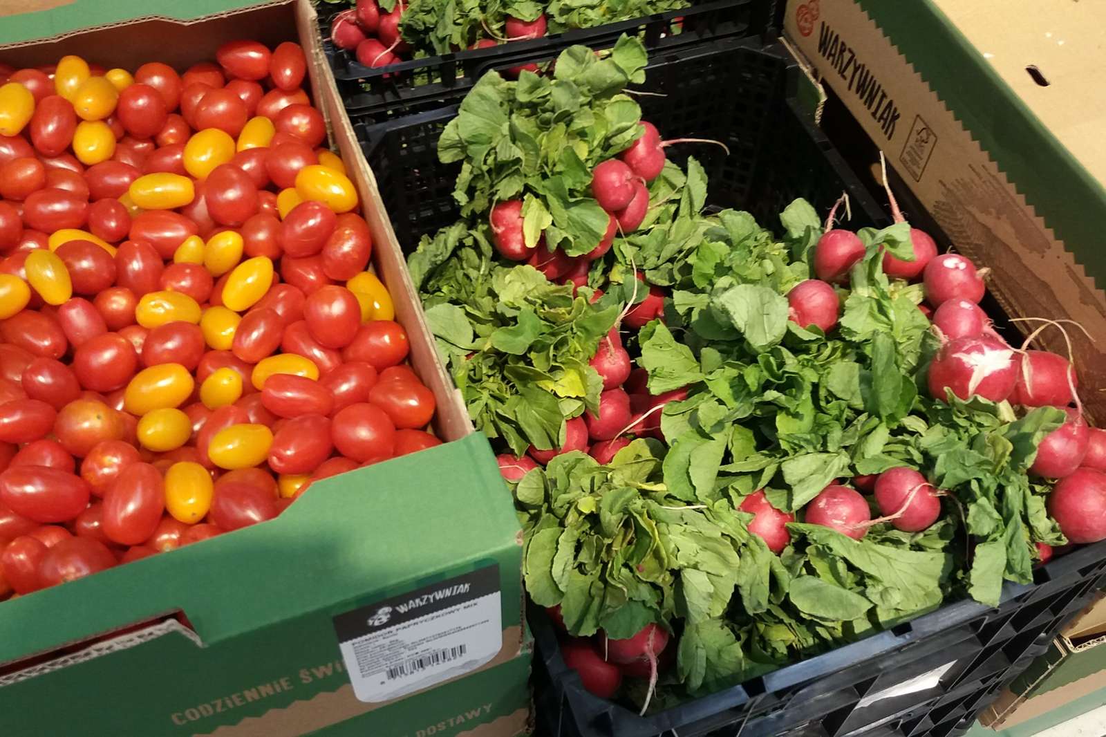 Légumes: tomates, radis  puzzle online