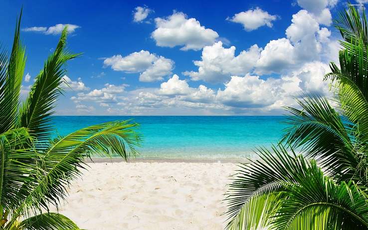 Beach. Ozean. Sky. Palma. Online-Puzzle
