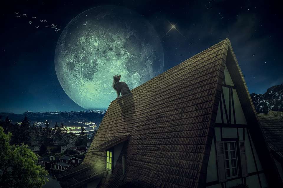 Eine Katze auf dem Dach Puzzlespiel online