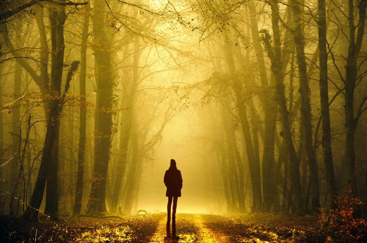 Caminar en el bosque de otoño rompecabezas en línea