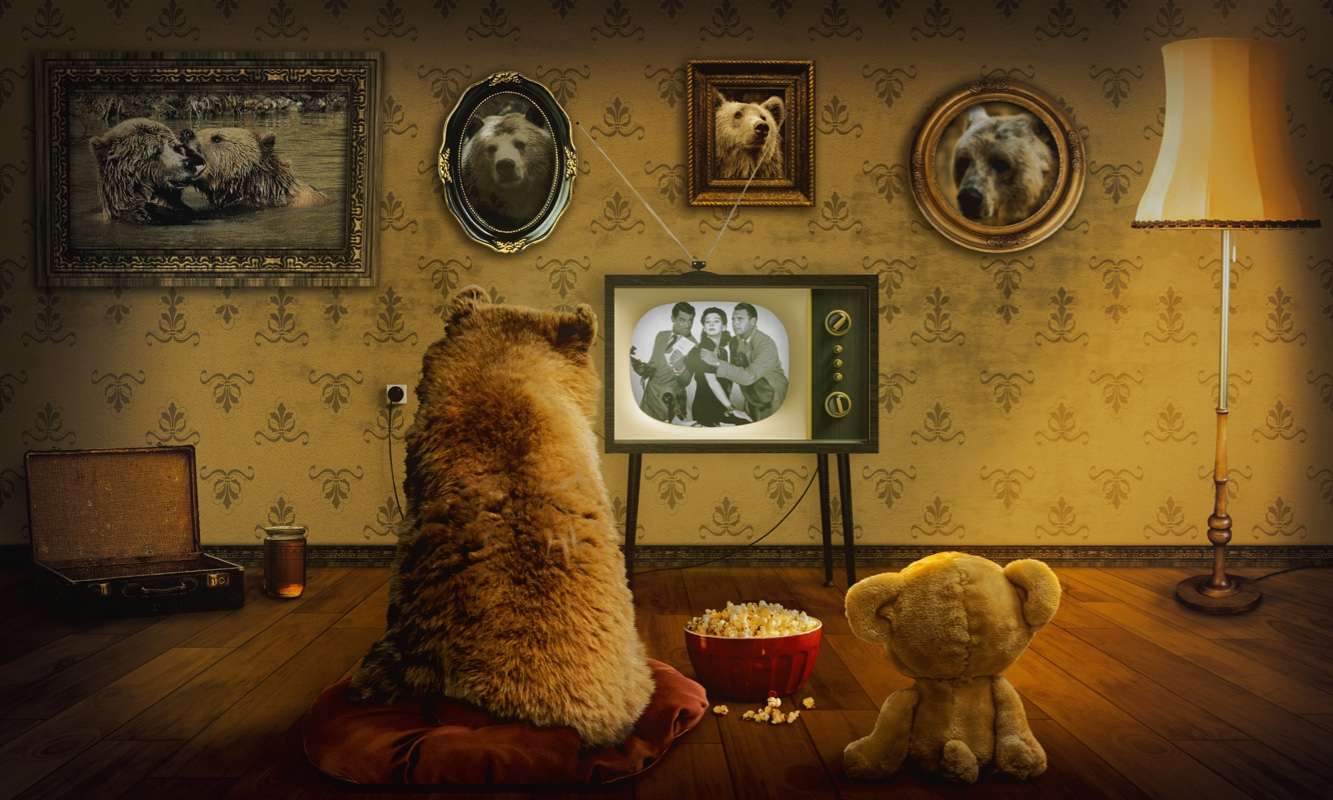 Медведь и Тедди смотрят телевизор пазл онлайн