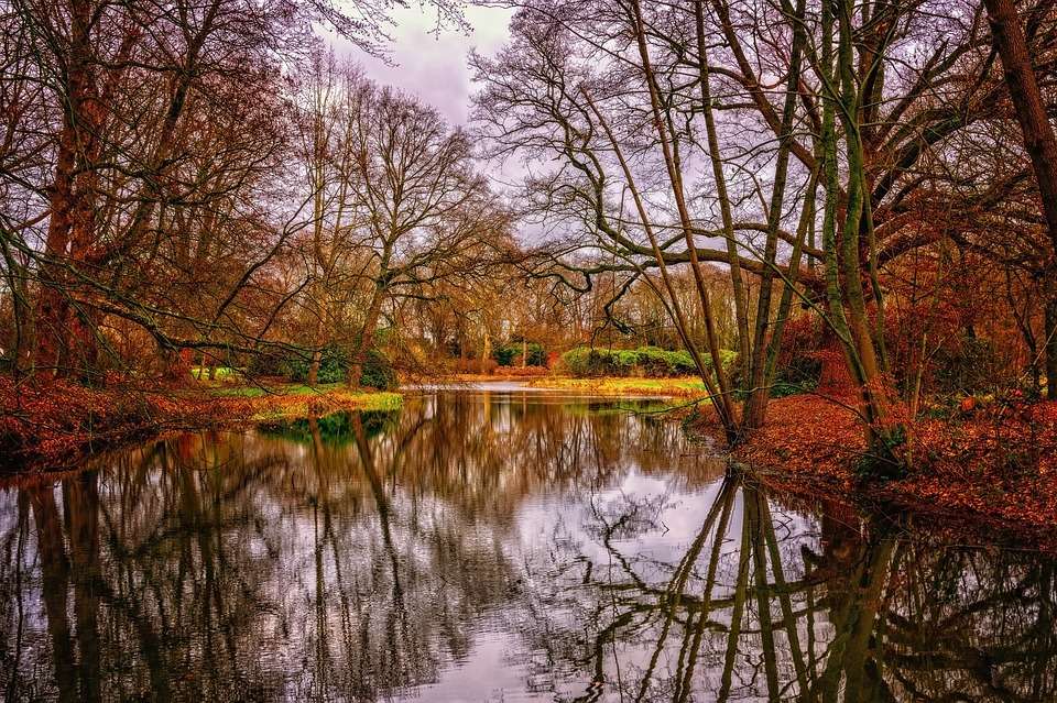 Autumn at the pond jigsaw puzzle online