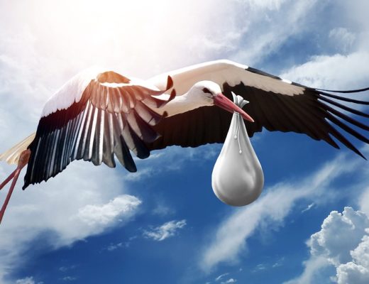 Stork with a gift. jigsaw puzzle online