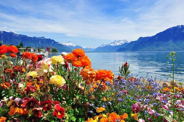Virágok egy hegyi tó mellett. online puzzle