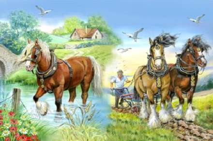 Wunderschöne Pferde. Online-Puzzle