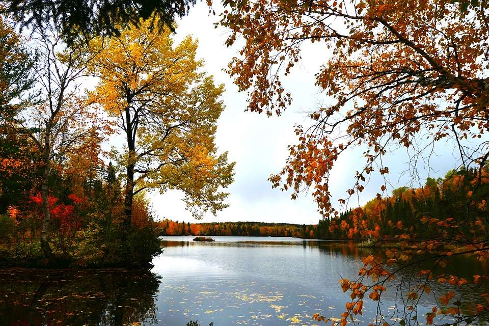 осінь на озері пазл онлайн