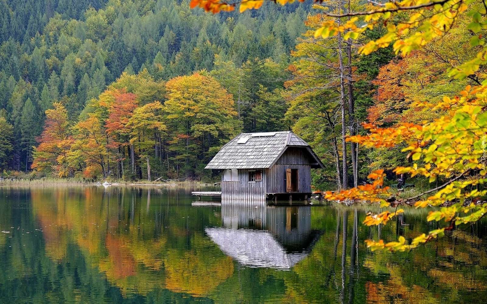 Cottage in riva al lago. puzzle online