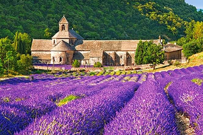 een abdij tussen lavendelvelden online puzzel