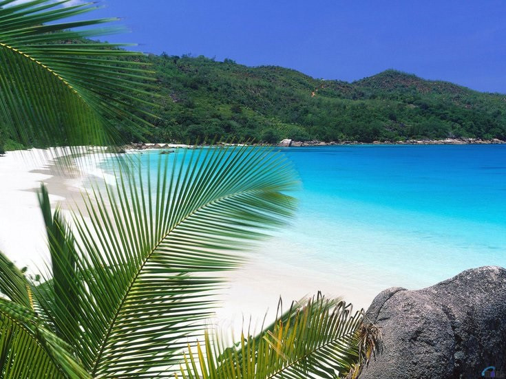Beaches. jigsaw puzzle online