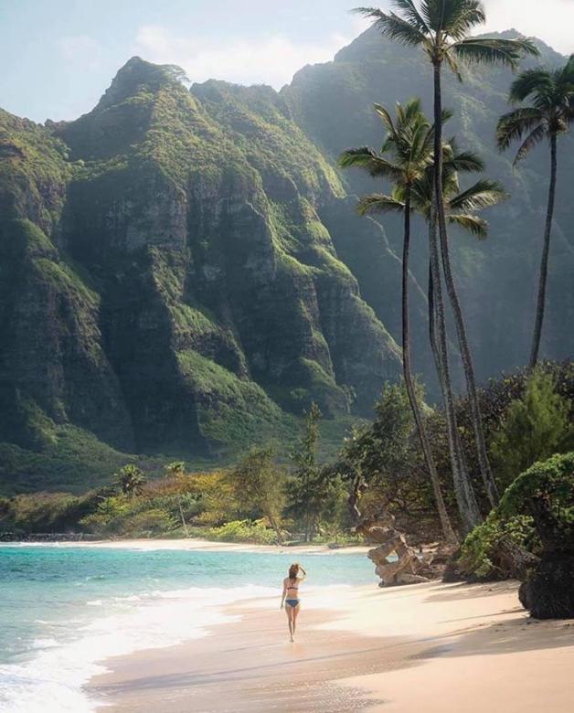 Playa de hawai rompecabezas en línea