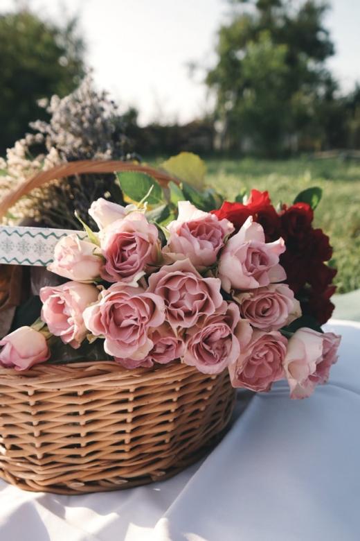 Τριαντάφυλλα τσαγιού παζλ online