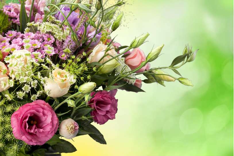 Flowers. jigsaw puzzle online