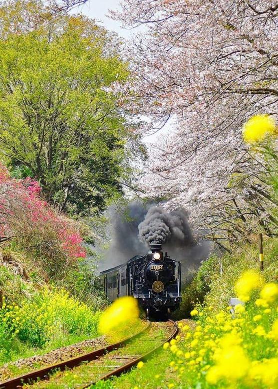 Primavera e locomotiva a vapor puzzle online