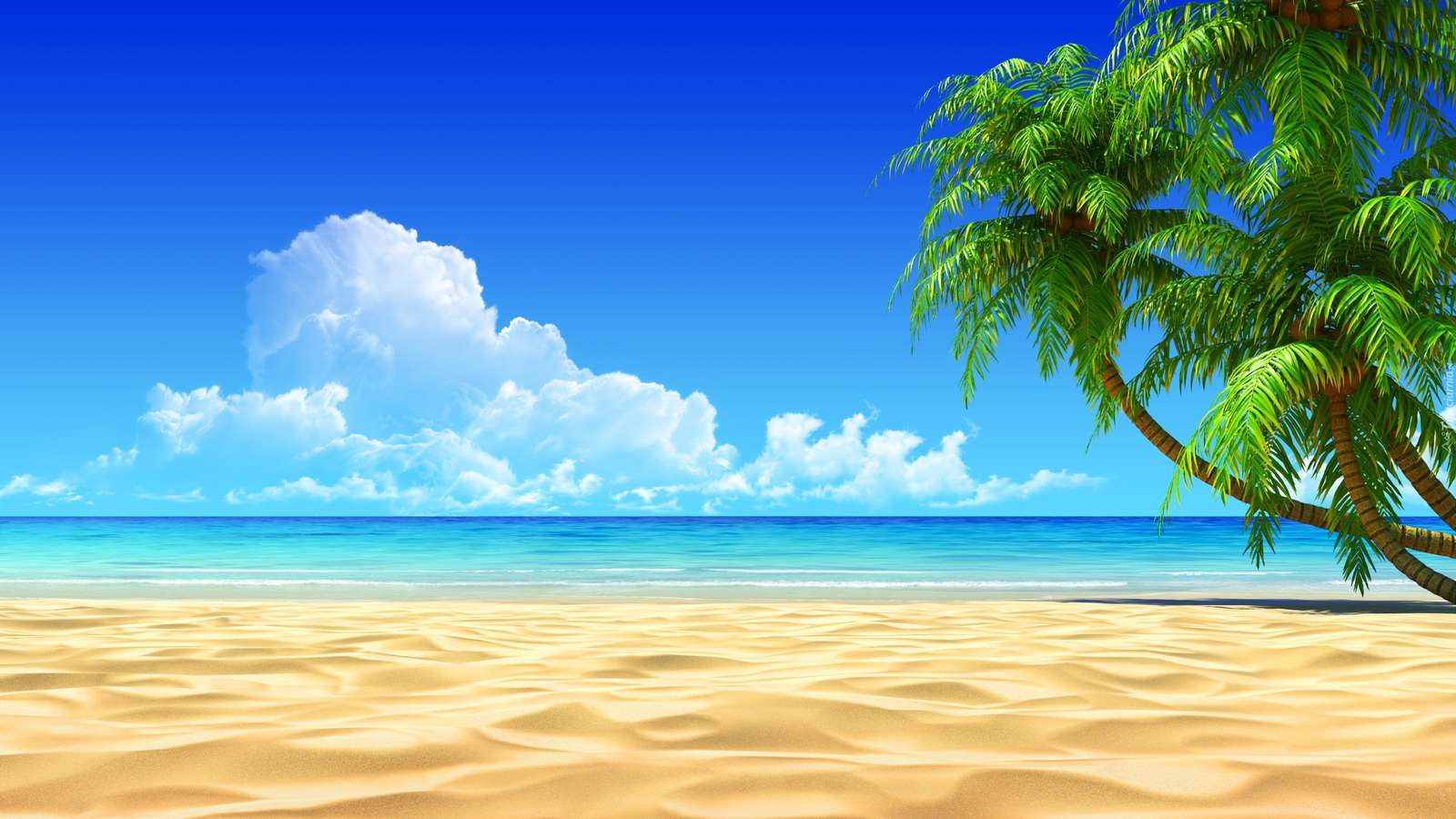 Palmboom zand legpuzzel online