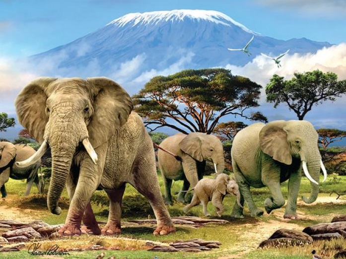 Elefanti africani. puzzle online