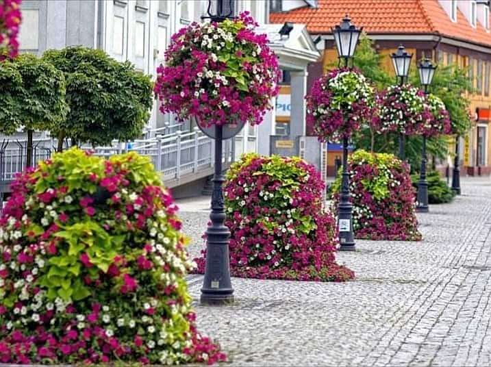 цветочная улица пазл онлайн
