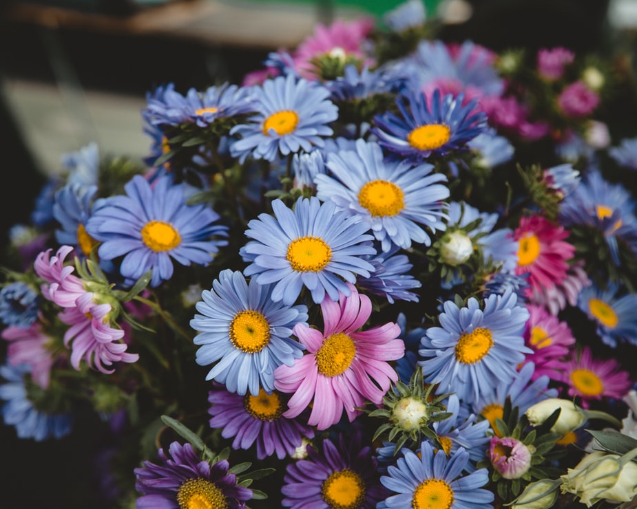 Barevné letní květiny online puzzle