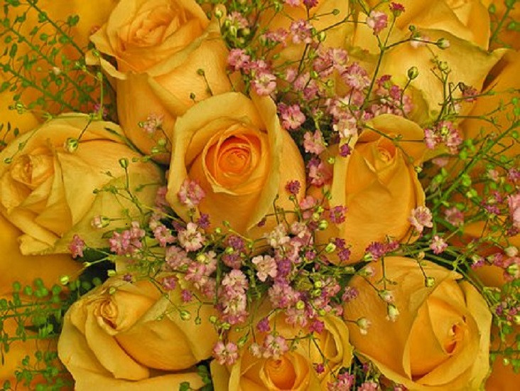 Βασίλισσες λουλουδιών. παζλ online