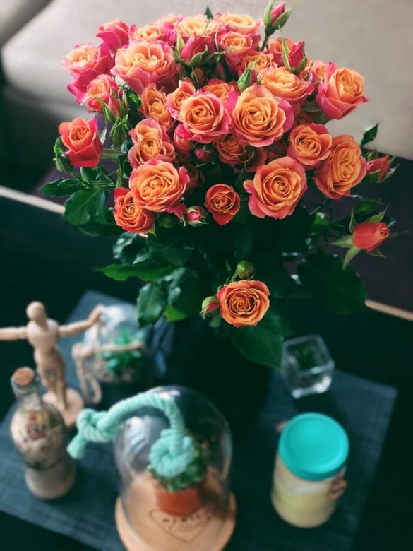Čajové růže skládačky online