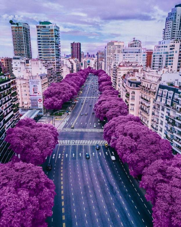 Буэнос-Айрес, Аргентина онлайн-пазл