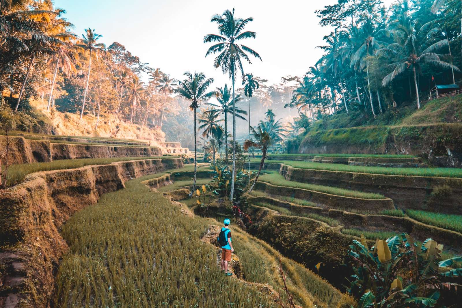Turisztikai attrakció Indonéziában online puzzle