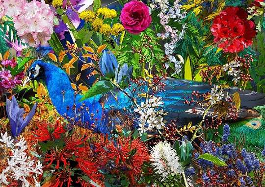 Flores coloridas. quebra-cabeças online