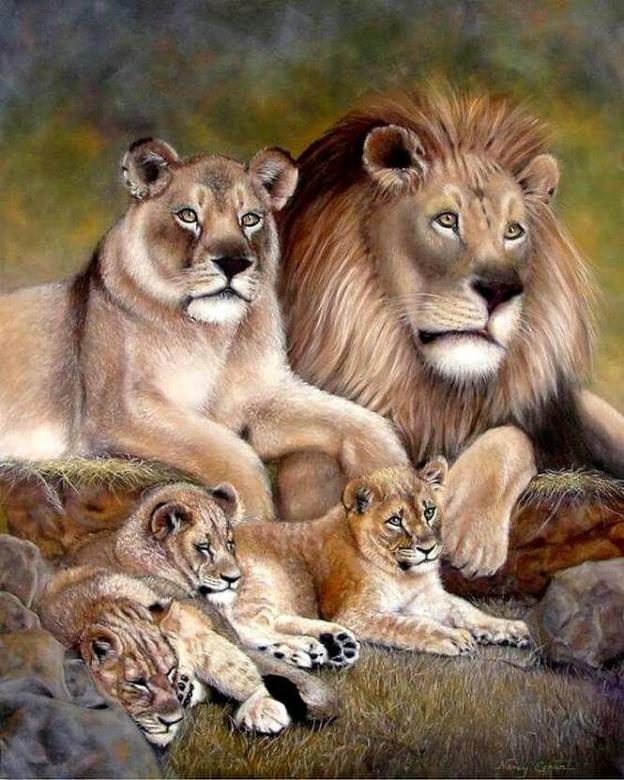 Família do leão puzzle online