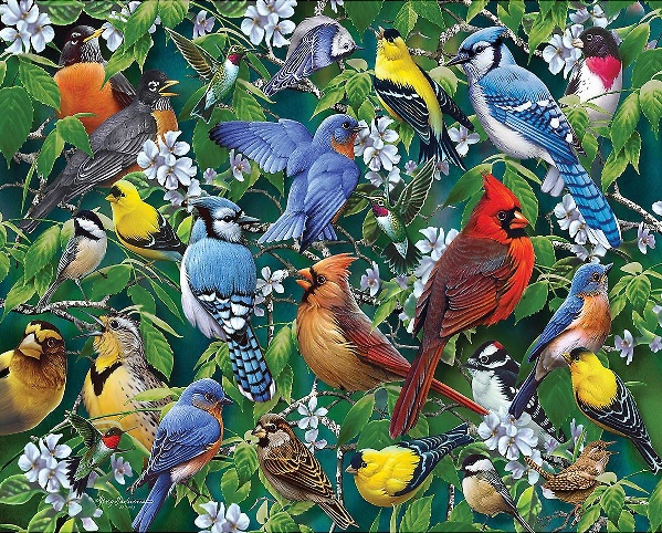 Oiseaux colorés. puzzle en ligne
