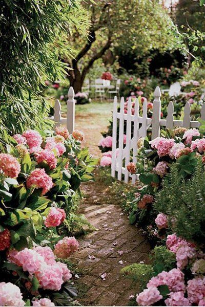Цветочная дорожка в саду онлайн-пазл