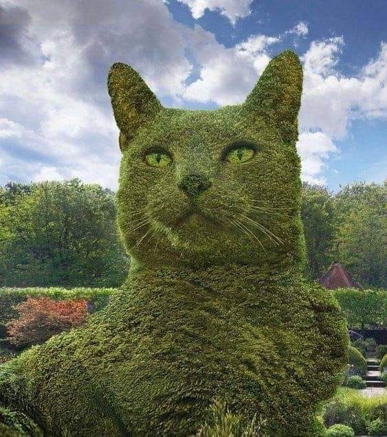 Grön kattunge Pussel online