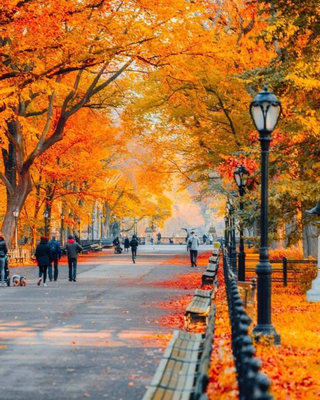 Централен парк в Ню Йорк в есенната природа онлайн пъзел