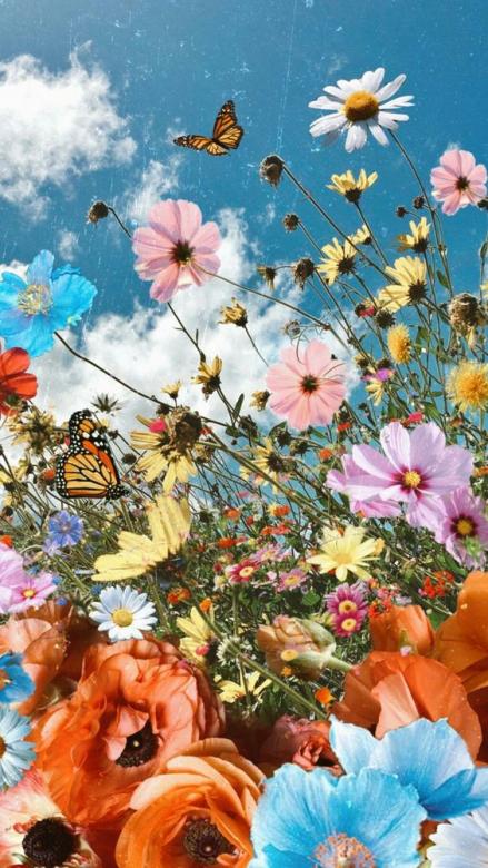 Πολύχρωμα λουλούδια πεδίο παζλ online