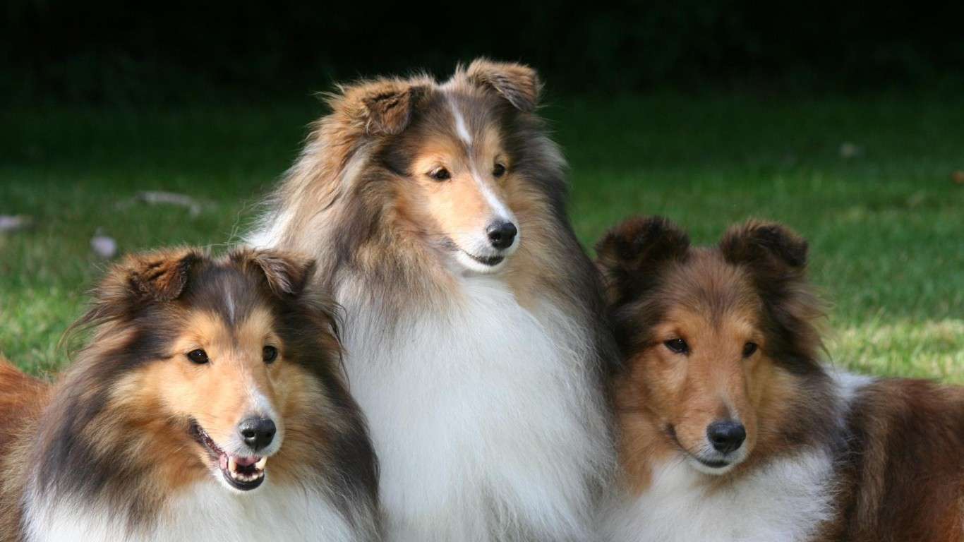 tres amigos rompecabezas en línea