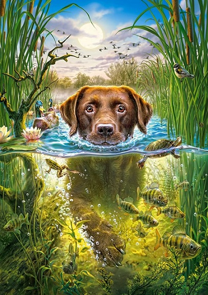 Hond in een bad. online puzzel