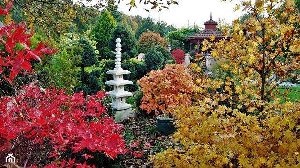 Есента в градината. онлайн пъзел