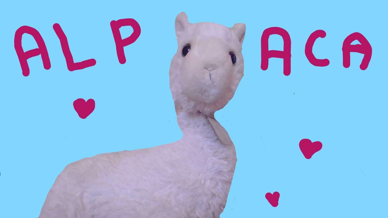 Alpaca heeft legpuzzel online
